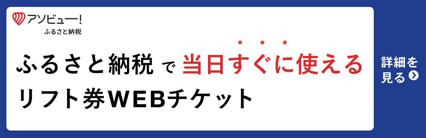 【ふるさと納税】 ダイナランド＆高鷲スノーパーク共通1日券
